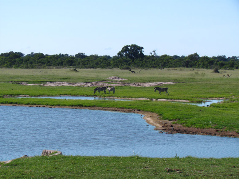 PN Hwange
